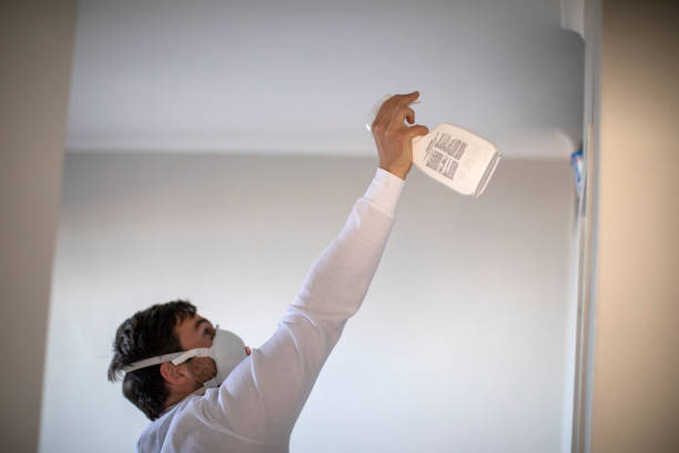 Best Residential Mold Removal  in Johnson City, TN