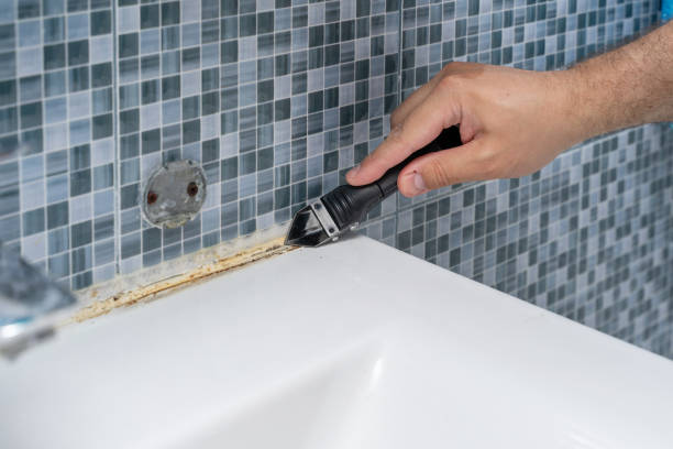  Johnson City, TN Mold Removal Pros